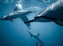 开云体育官网-开云平台——开启企业数字化转型新纪元